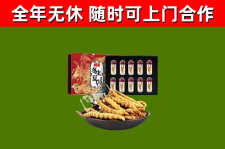 射阳县烟酒回收冬虫夏草礼盒.jpg